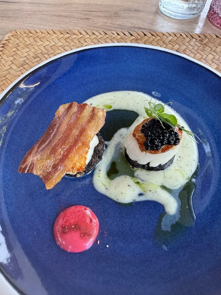 Ilja Rijnen_The Geranium_Oncala_review