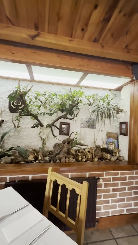 Restaurante Cintora Bar, desde 1970_Royo El_slider_image_2