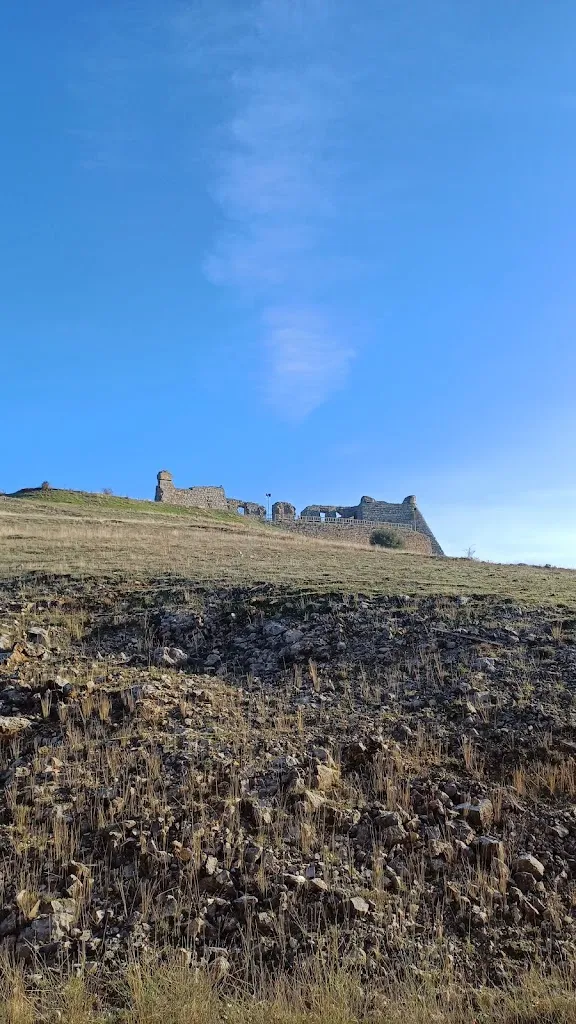 Maria Magdalena Cojan_Manrique De Lara - El Chispo_San Leonardo de Yagüe_review