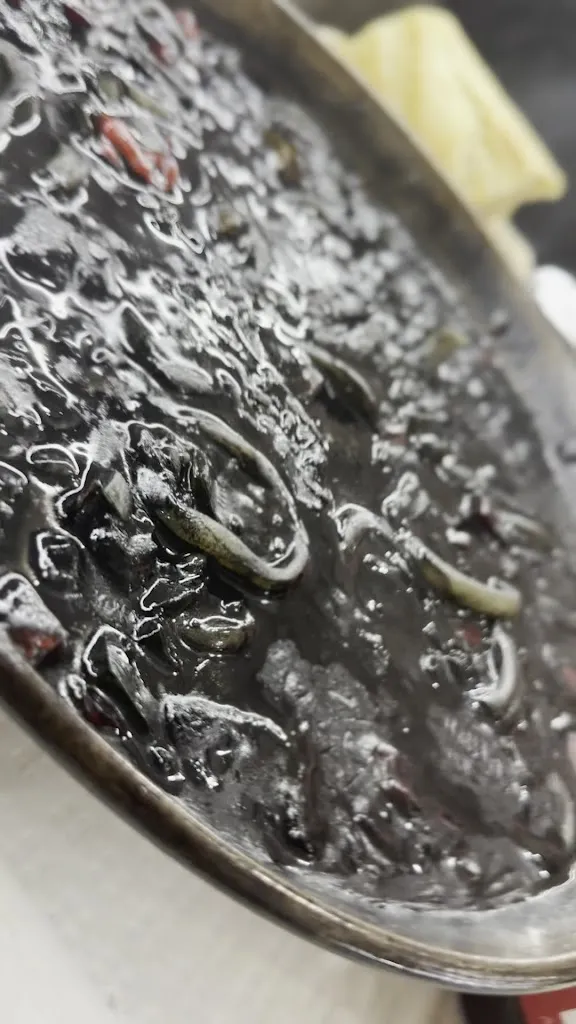 Zoltán Székely_Bar Manzanares_Vadillo_review