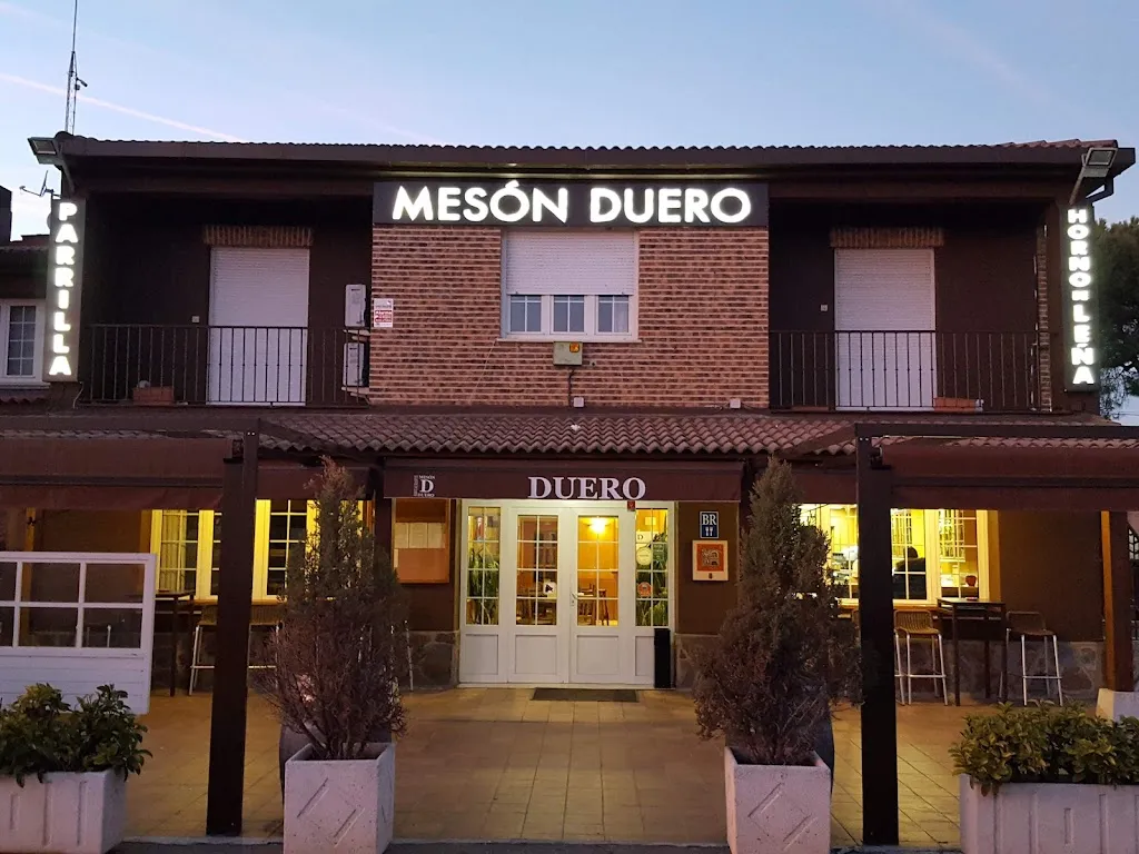 Mesón Duero Restaurante_Viana de Duero_slider_image_1