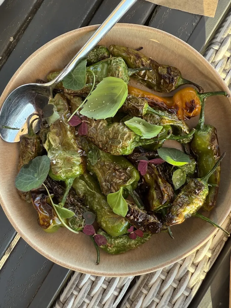 J. B._Dasau Restaurante & Lounge_Viana de Duero_review