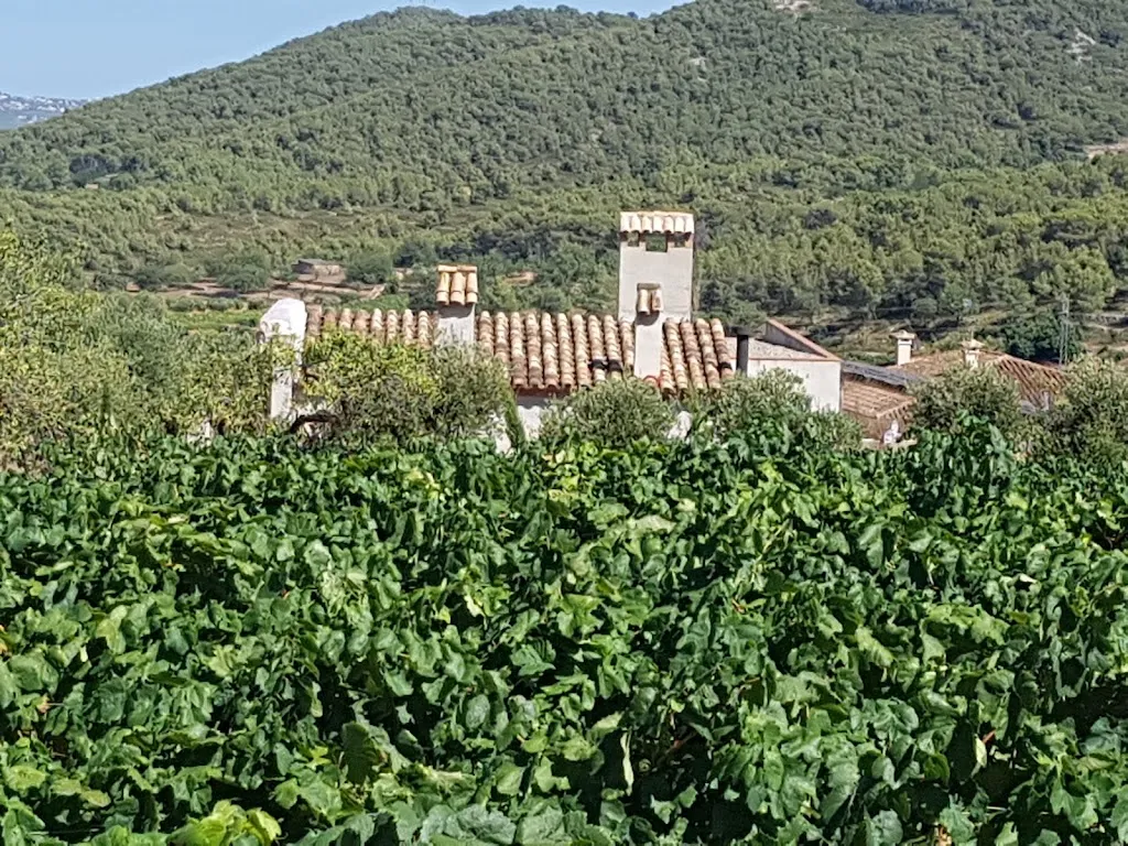 Wendy hoberger_Bar Albinyana_Albinyana_review