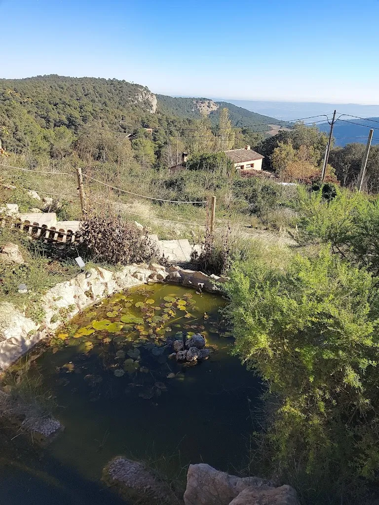 Romana Litkova_Restaurante El Cor de Prades_Alcover_recensione