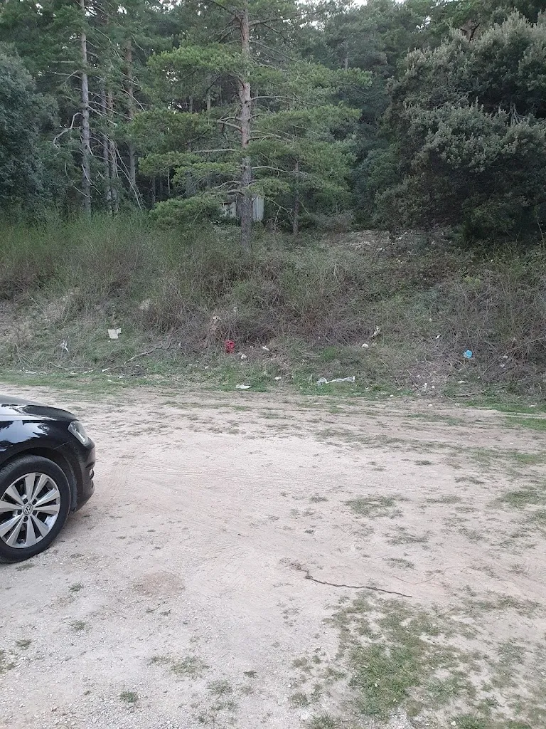 Paula C_Hostal Restaurant Pous de la Neu_Alfara de Carles_review