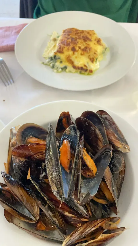 Büşra Aktürk_Fonda el Recó_Alforja_review