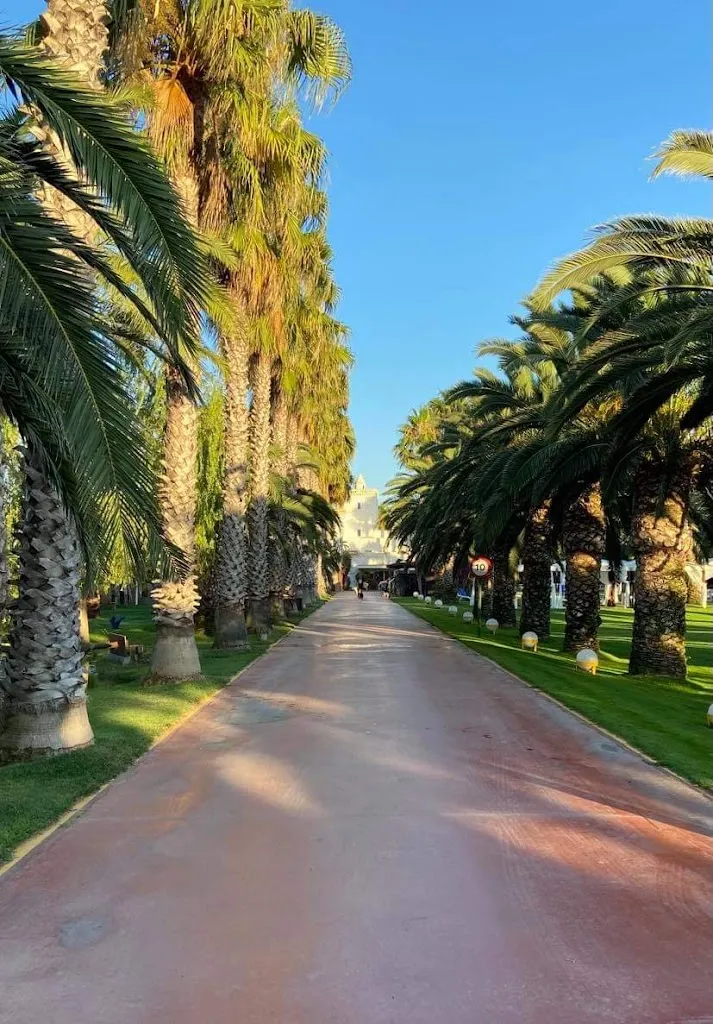 Anders Jansson_Citrus del Tancat_Alcanar_recensione