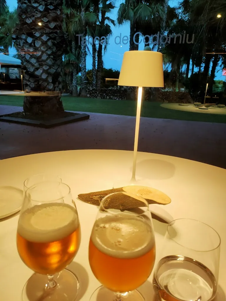 Ana Quintana_Citrus del Tancat_Alcanar_recensione