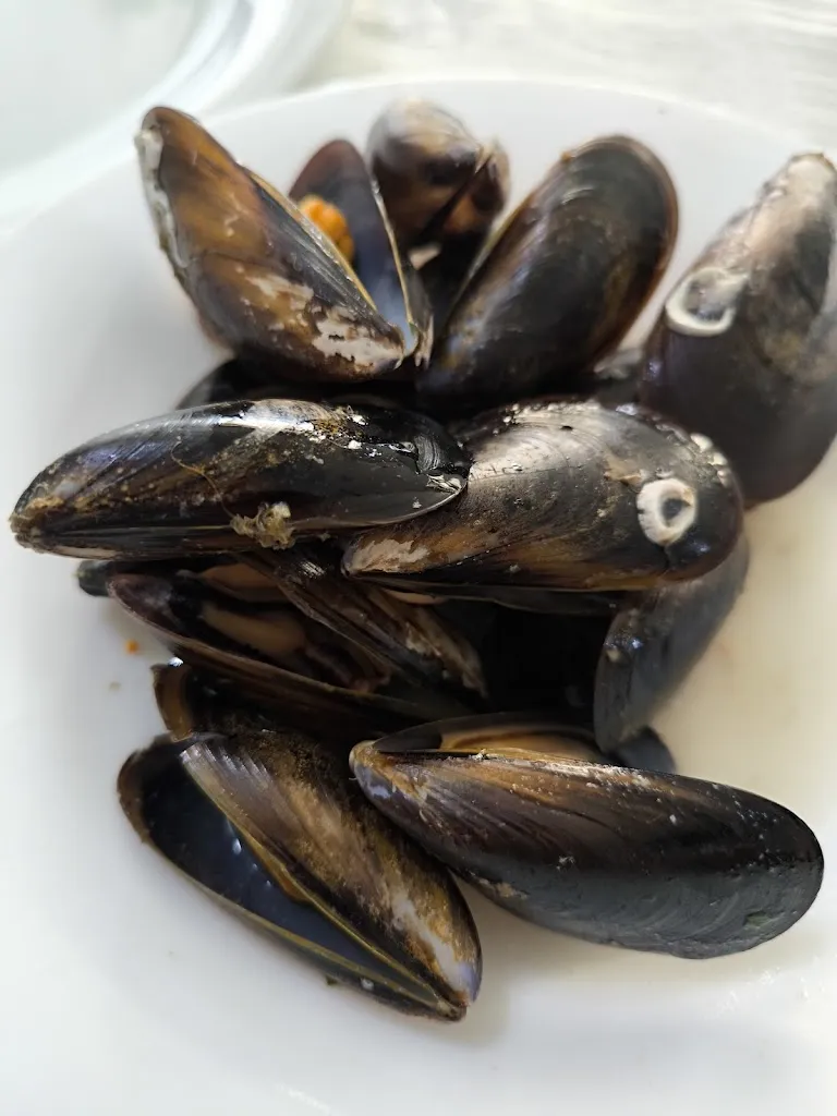 Salvador_Restaurant Lo Faro_Alcanar_review