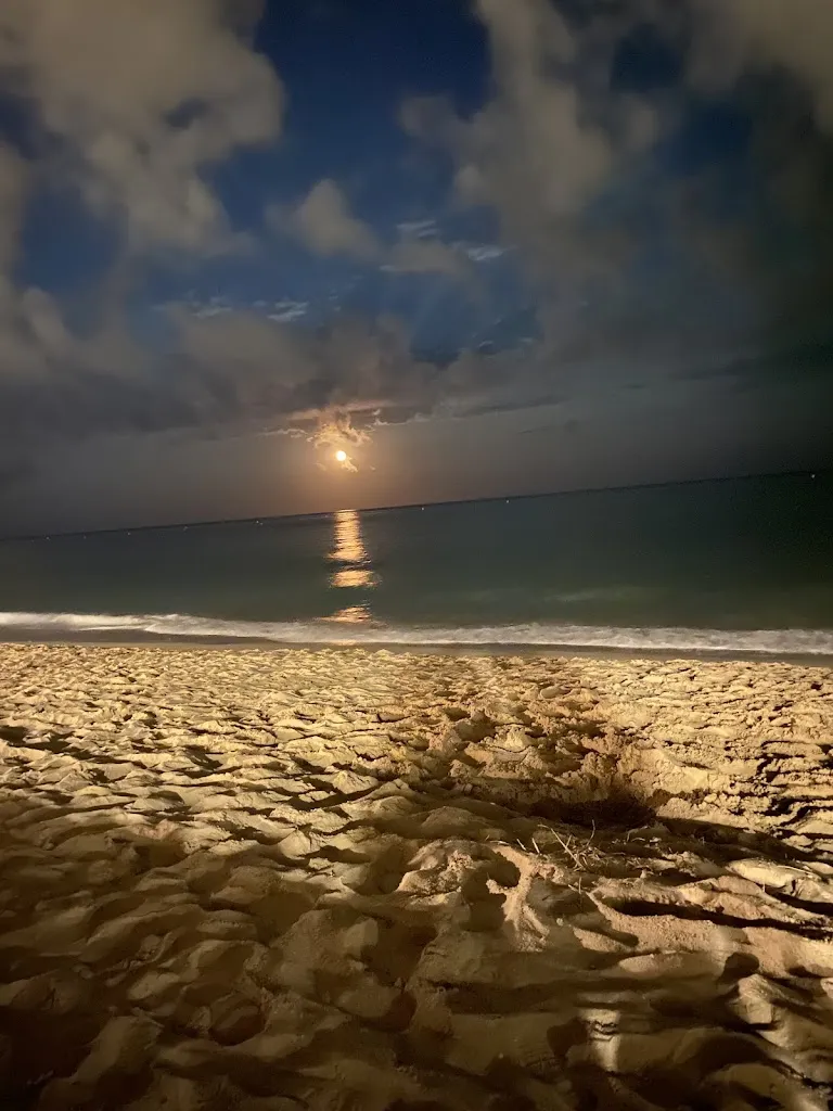 Diego Vertongen_Mar Salada_Altafulla_review