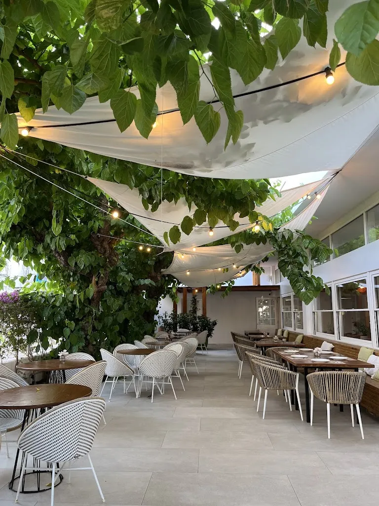 Vera Thies_Restaurant Pinxo i Brasa_Altafulla_review