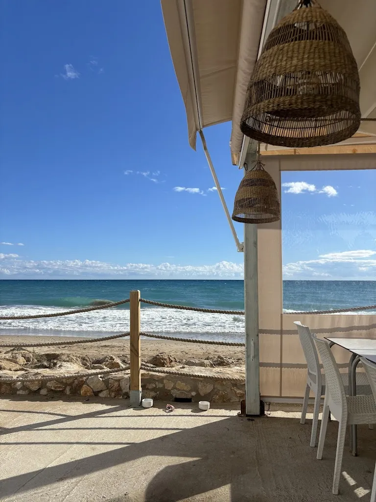 Lisa B_Bar Polini_Altafulla_review