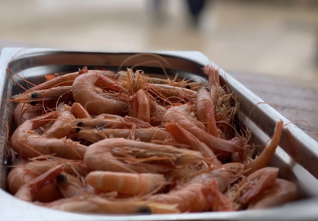 Menu_La Turquesa_Altafulla_image_4