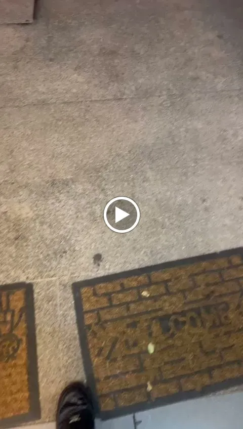 Punjab Kebab Restaurante Indian Cuisine_Altafulla_slider_image_2