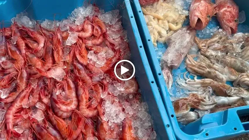 Restaurant Taverna La Serra_Ametlla de Mar_slider_image_2