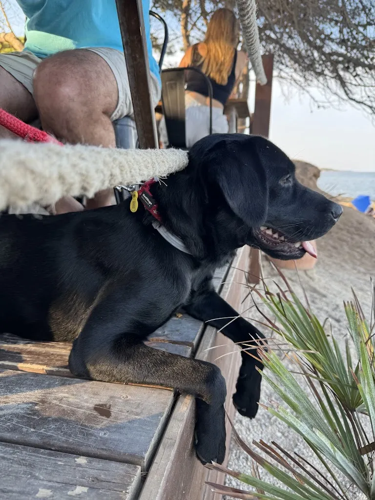 Nàdia Tolós Pons_Bohemia Mar_Ametlla de Mar_review