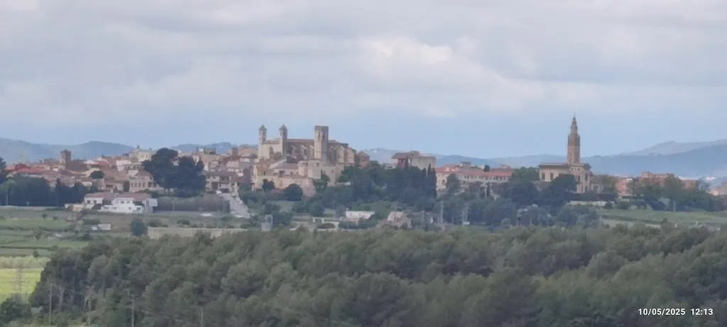 Jordi Brull_L' Arbocenc_Arboç_review