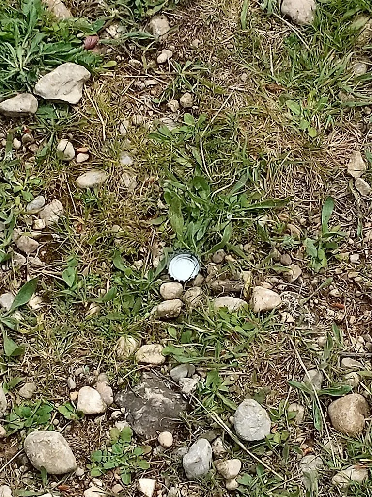 Raul Sanchez_ElPi Negre_Arboç_review