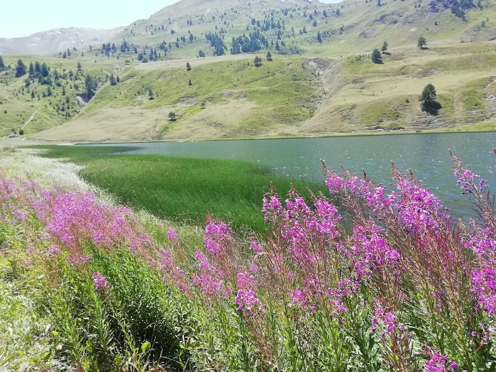 Manuel Gabbatore_Bar Ristorante del Lago_Argentera_review