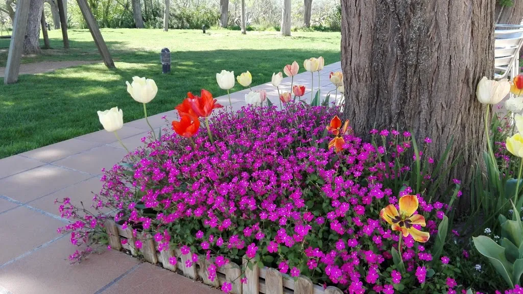 Francisco Vaquero_Restaurant Can Secundino_Benissanet_review