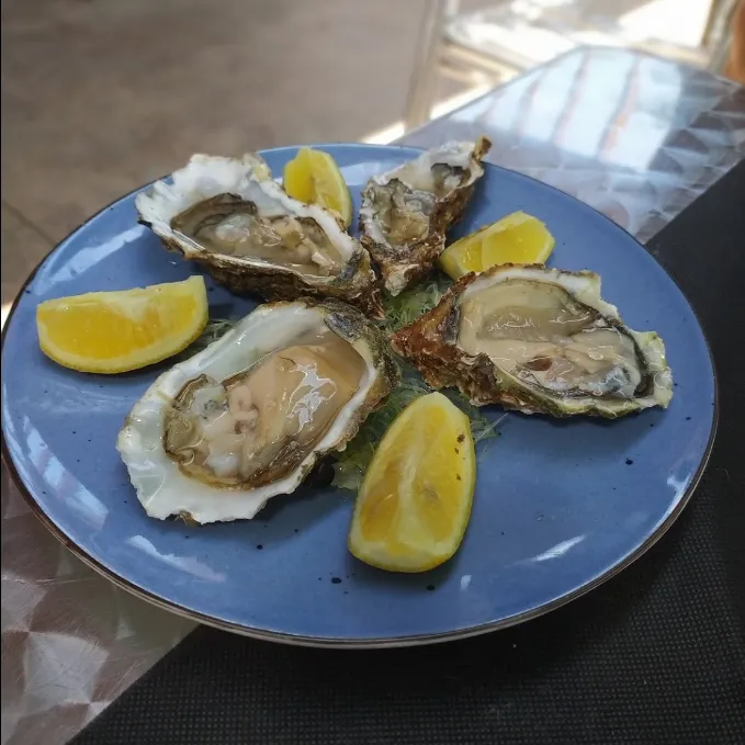 Restaurant La Casa de Fusta_Amposta_slider_image_3