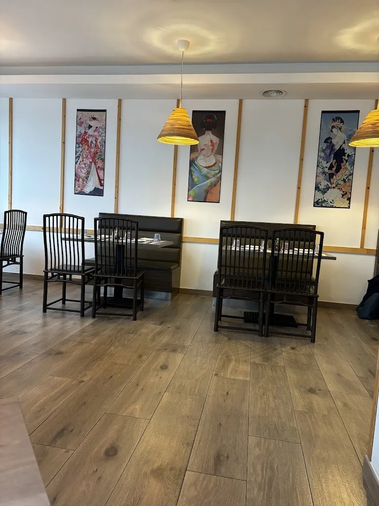 HELECHO AISLADO_Matuya restaurant japonès_Amposta_avis