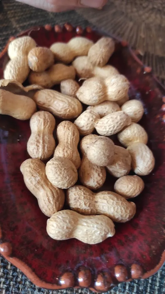 Pili Bruixeta_La Corriola Latina_Amposta_review