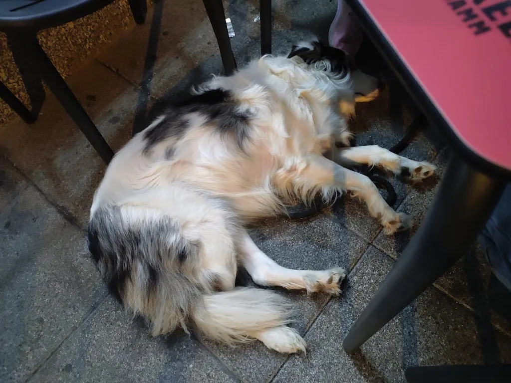 Cristian Gazquez_Troia_Amposta_recensione