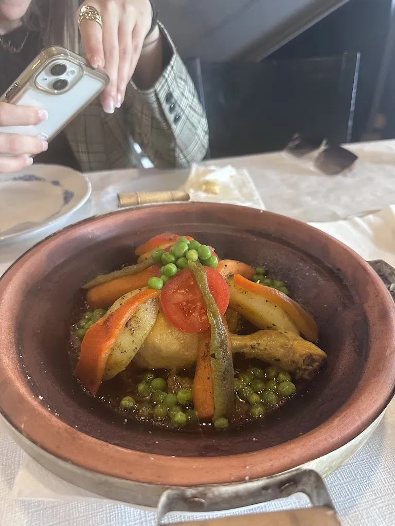 Andrea Teleki_Arabian_Amposta_review