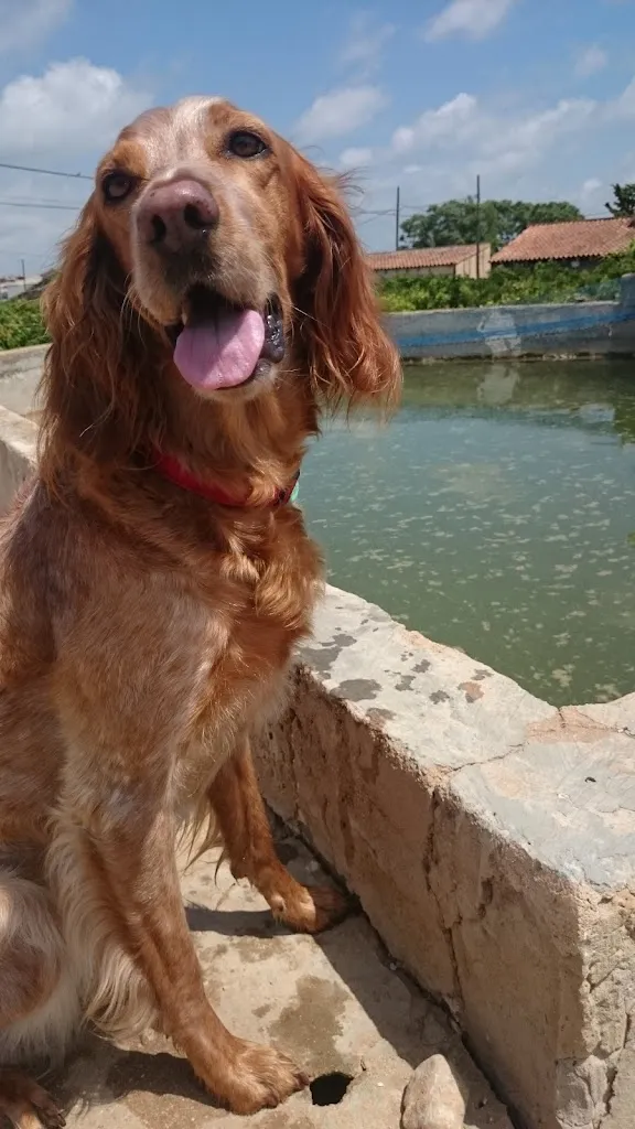 Càmara Arrossera del Montsià, SCCL_Amposta_slider_image_3