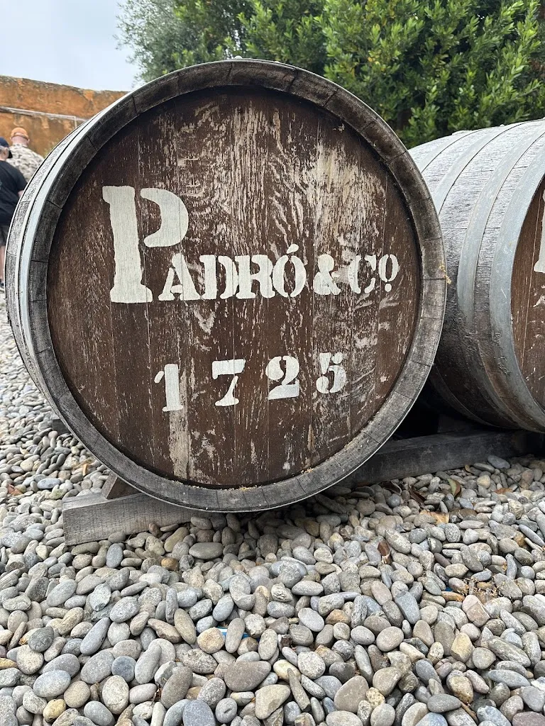 Isa Salomo_Vermouth Padró & Co._Bràfim_review