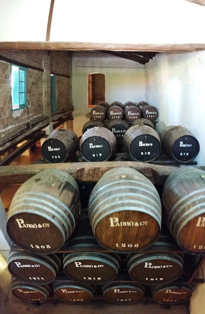 Samantha Van Luchem_Vermouth Padró & Co._Bràfim_review