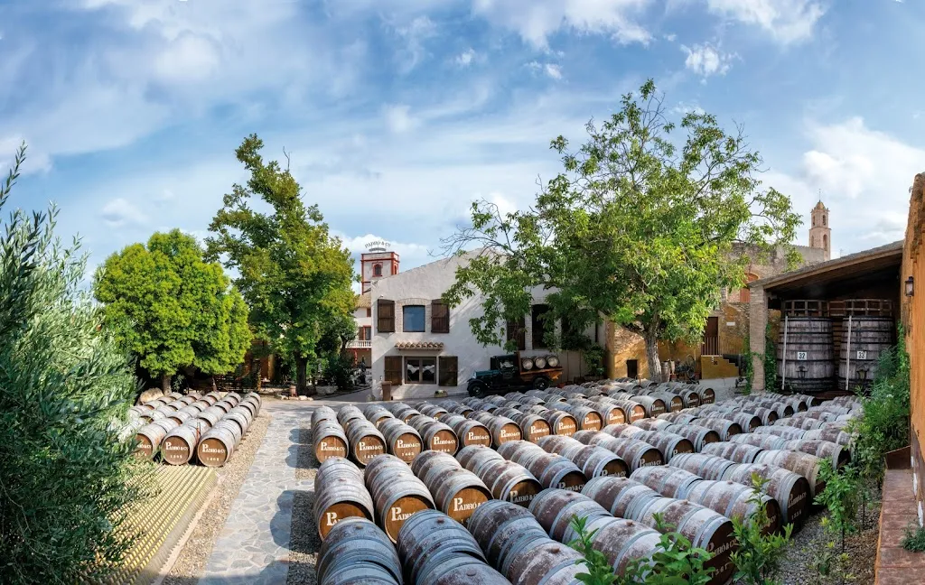 Vermouth Padró & Co. restaurant in Bràfim