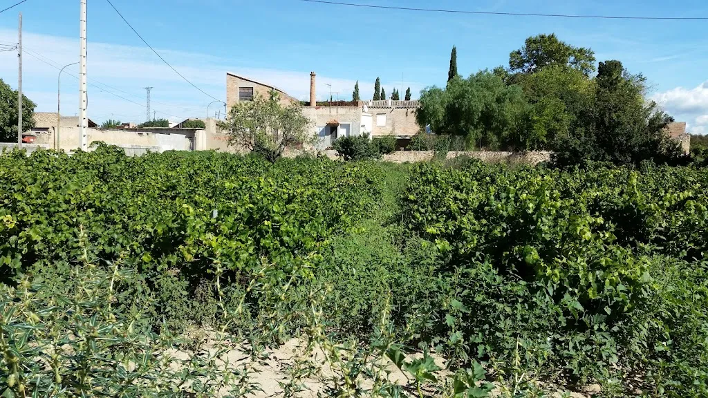 El racó de Bràfim_Bràfim_slider_image_1