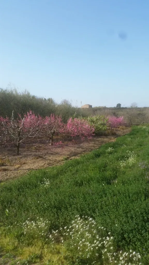 El racó de Bràfim_Bràfim_slider_image_2