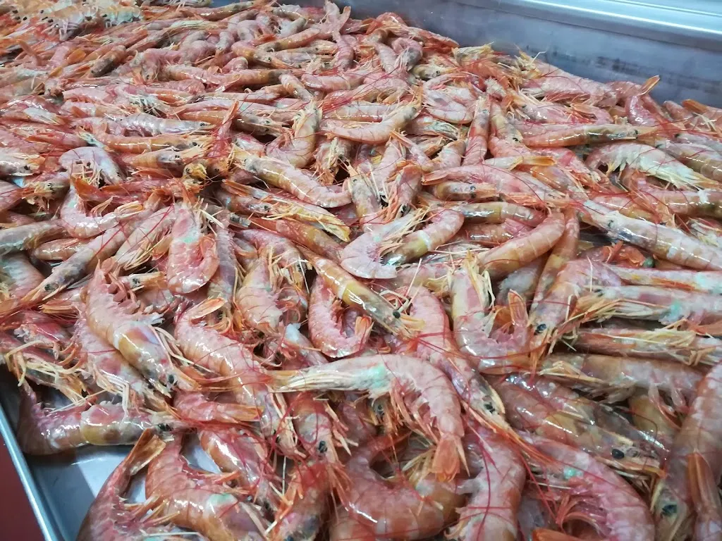 Menu_BAR-RESTAURANT LO CENTRO CAMARLES_Camarles_image_7