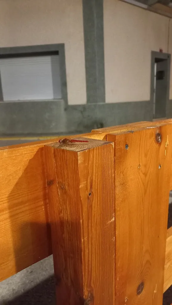 Carmen Neagoie_BAR-RESTAURANT LO CENTRO CAMARLES_Camarles_review