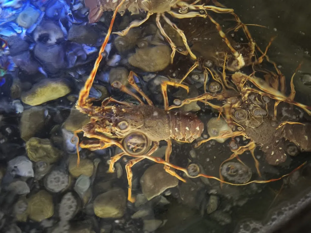 G.Caballero_Restaurant La Barca de Ca l'Ardet_Calafell_review