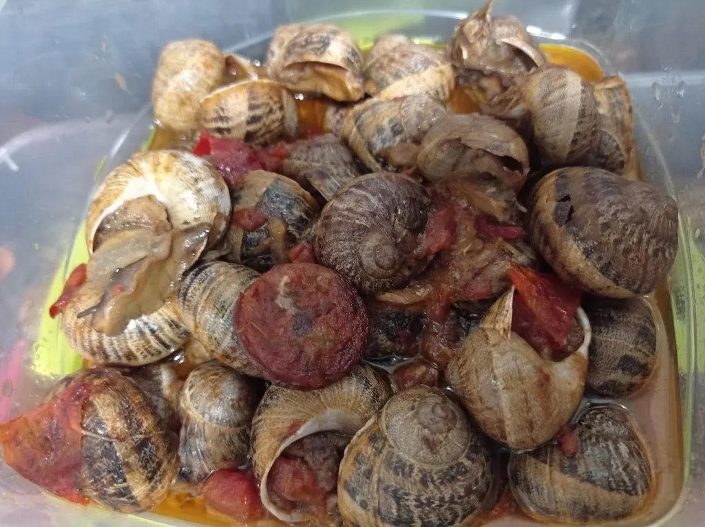 Frankfurt Loja_Canonja La_slider_image_1