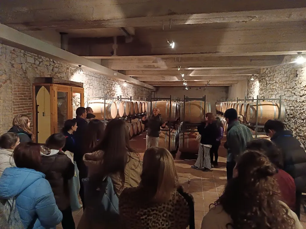 Pere Figuerola_Celler de Capçanes_Capçanes_review