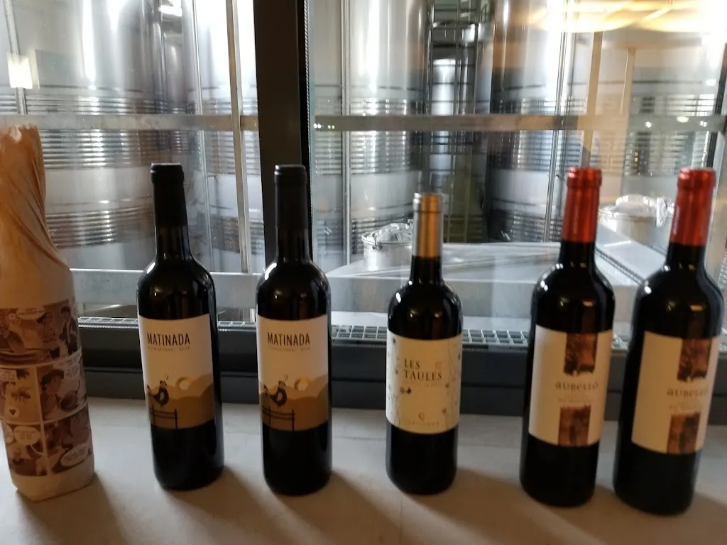 Victor Mak_Celler de Capçanes_Capçanes_review