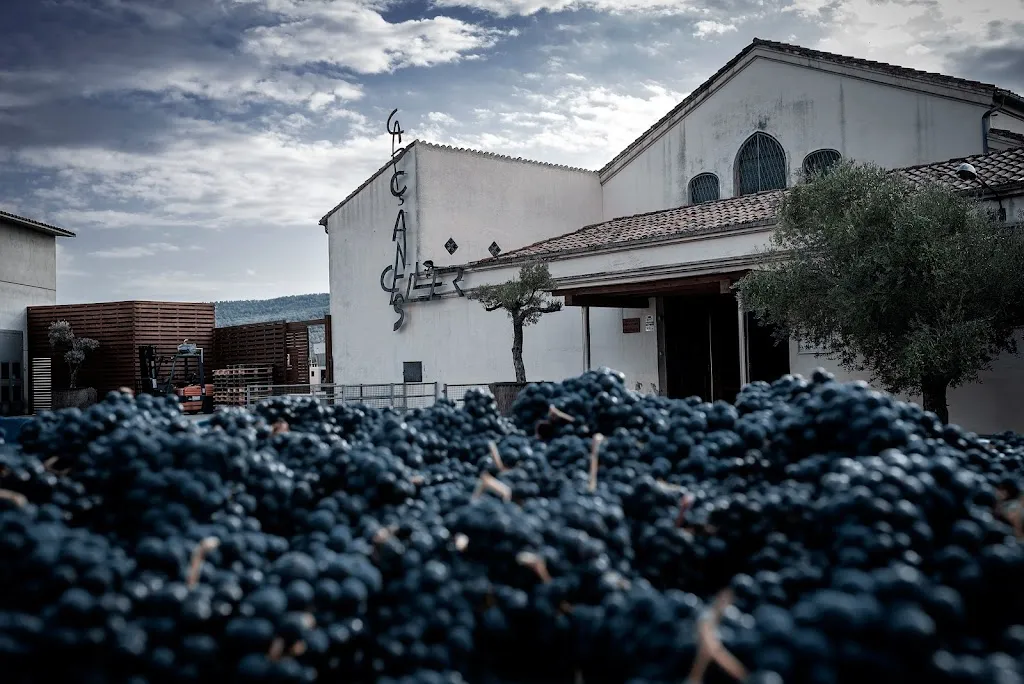 Celler de Capçanes_Capçanes_slider_image_1