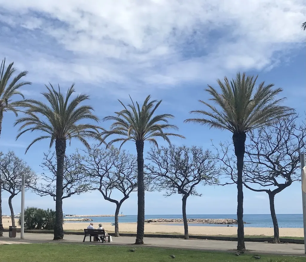 Linda Chapman_Restaurant Olivo_Cambrils_review