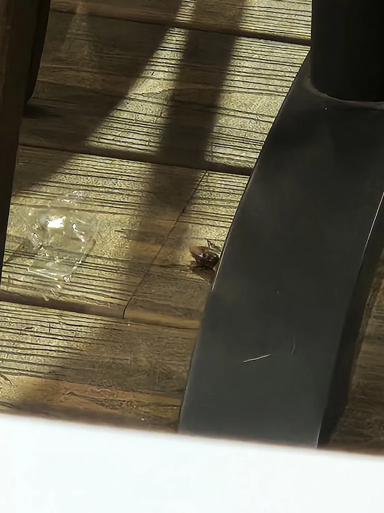 Maway_La Galera Port Cambrils_Cambrils_review