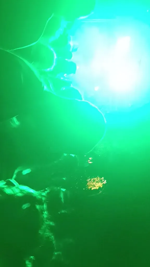 Soraya Saucedo_Mas de Folch_Constantí_recensione