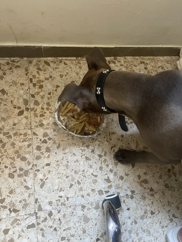 zakaria chib_Constanti kebab_Constantí_review