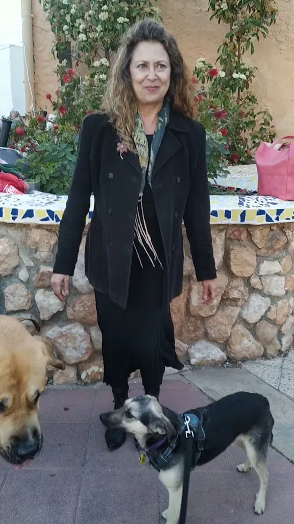 El Nou Mirador_Creixell_slider_image_2