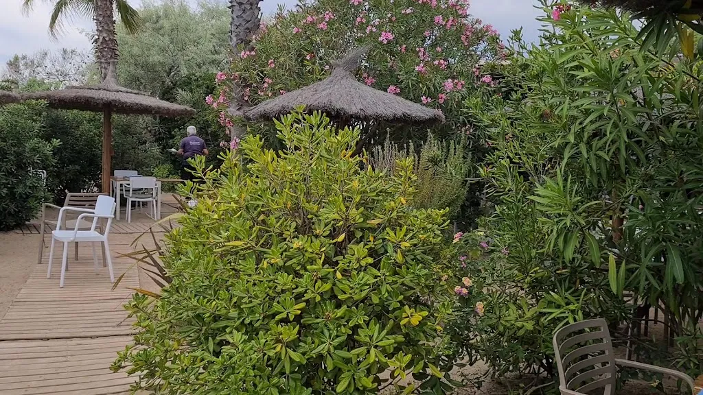 Gavina Restaurant | Creixell Platja_Creixell_slider_image_2