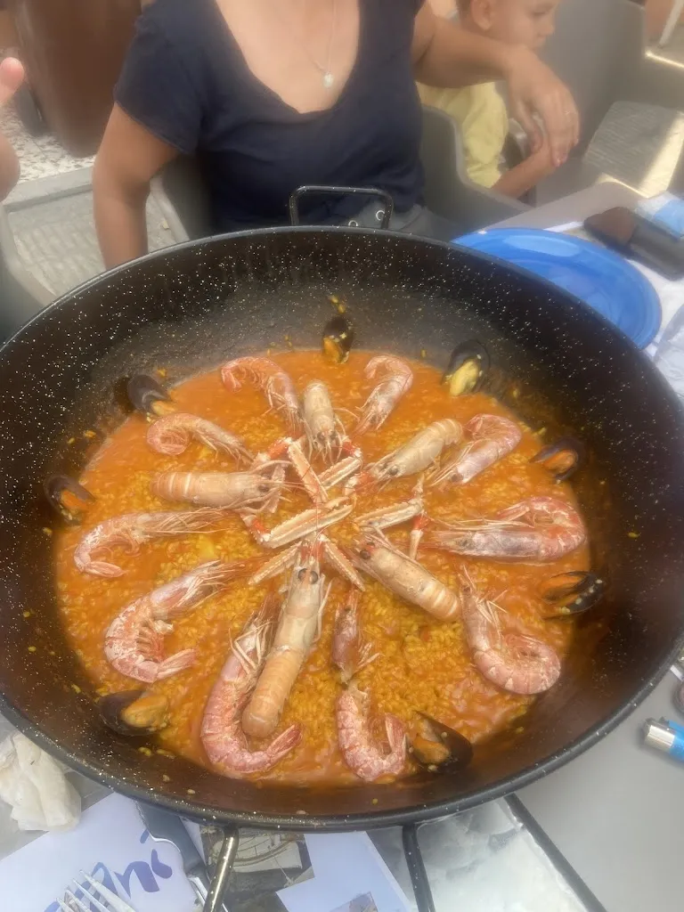 Dogsville_VOLVER TAPAS Y MARISCO_Cunit_Bewertung