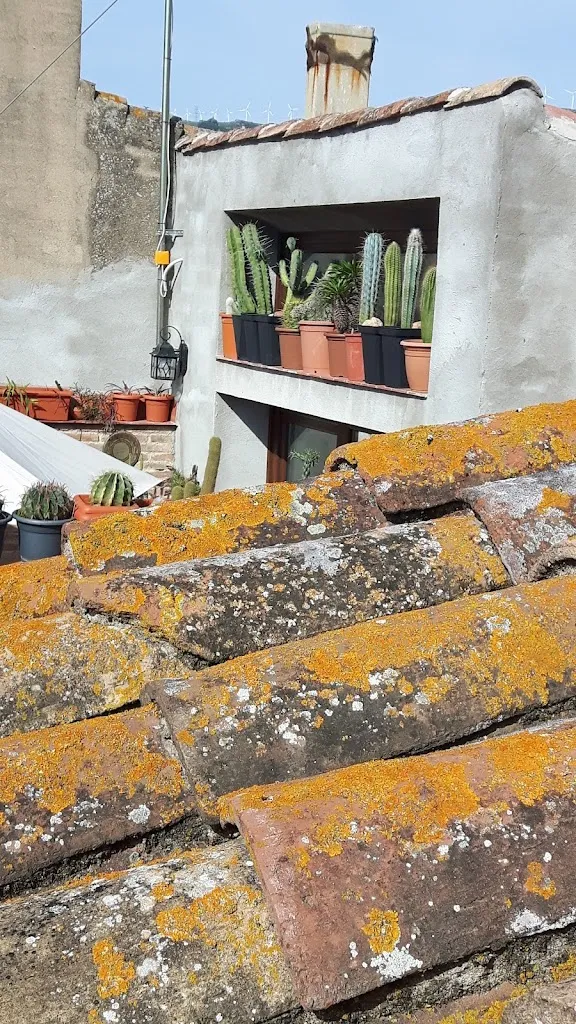 Menu_Ateneu de Duesaigües_Duesaigües_immagine_8